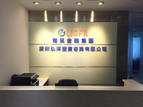 深圳弘洋投資咨詢 專業投資管理服務助力企業發展